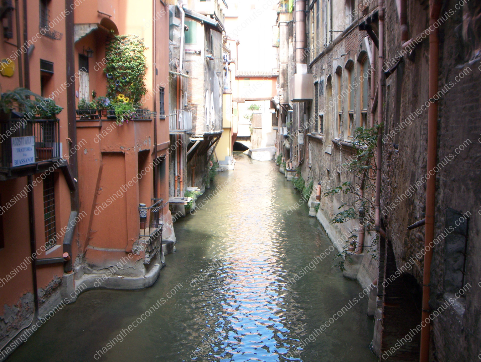Little Venice Bologna